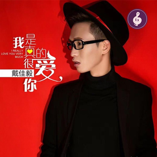 戴佳毅-我是真的很爱你(DJ阿远 2017Extended Mix)