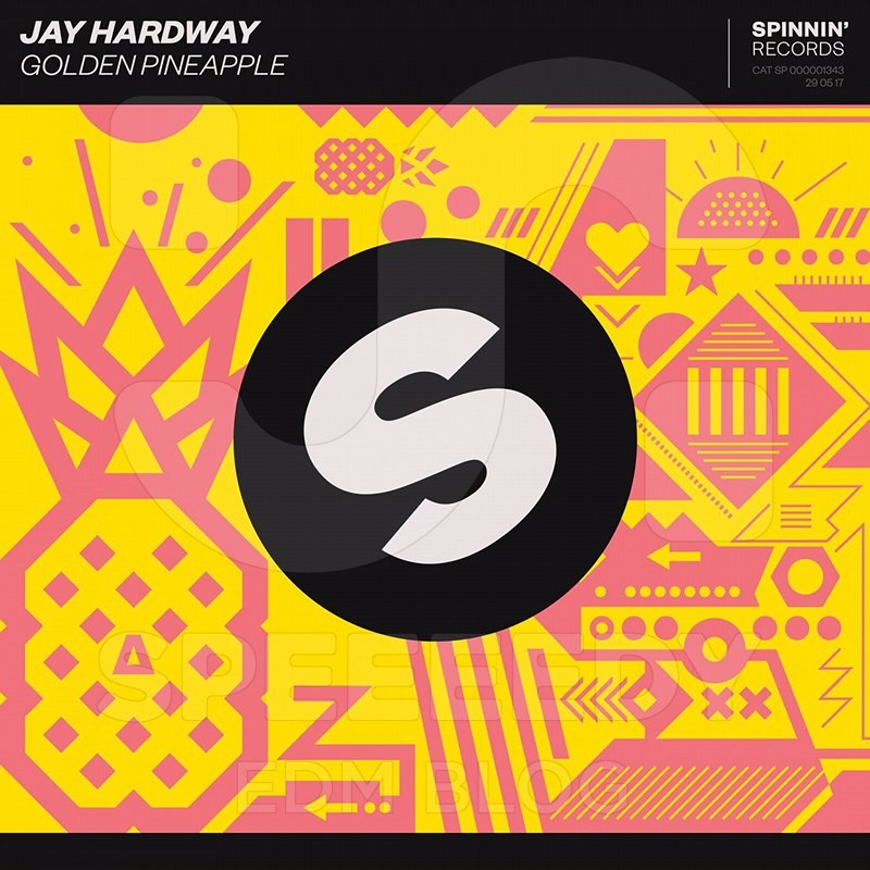 Jay Hardway - Golden Pineapple (Extended Mix)
