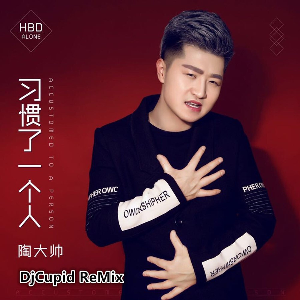 陶大帅_习惯了一个人(All Studio DjCupid.小秋 ReMix)