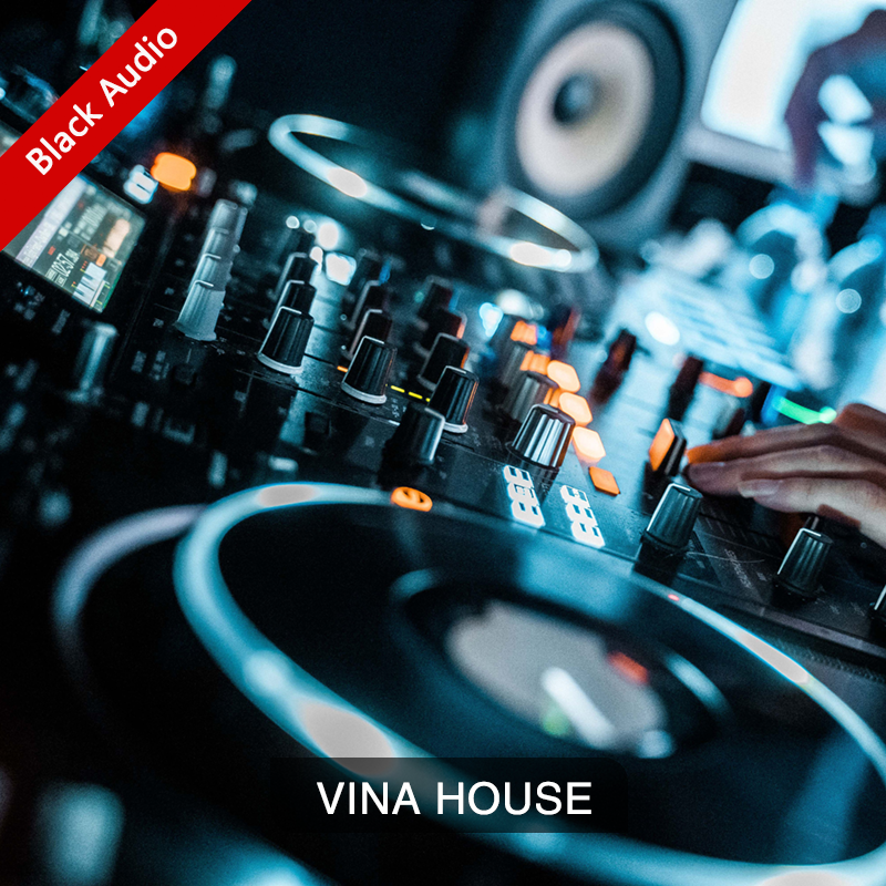 VinaHouse-05月精选[推荐105首]