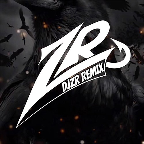 DJZR Remix